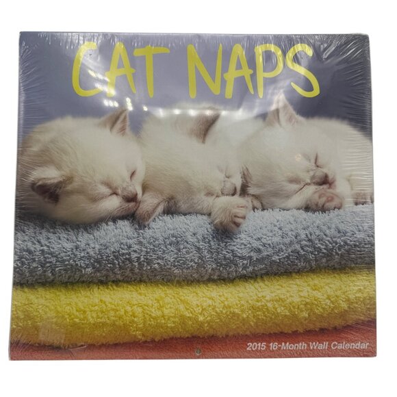 Cat Naps 2015 16-Month Wall Calendar Sleepy Kitten Images Cute Photography - Picture 1 of 3